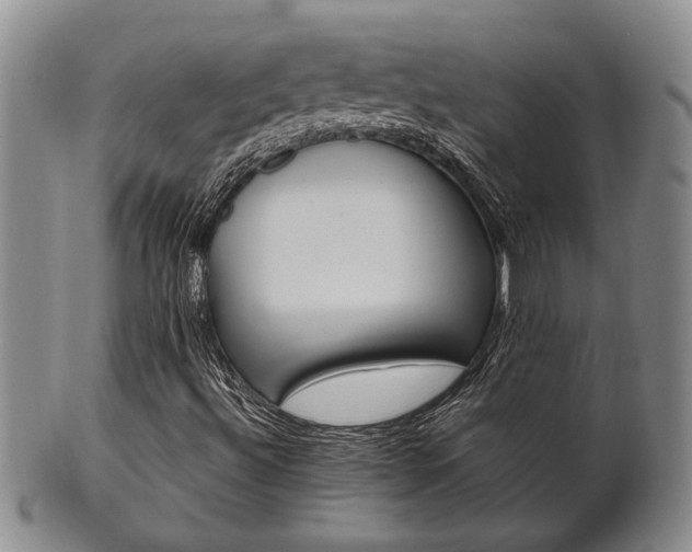 X0000101681492200807101131