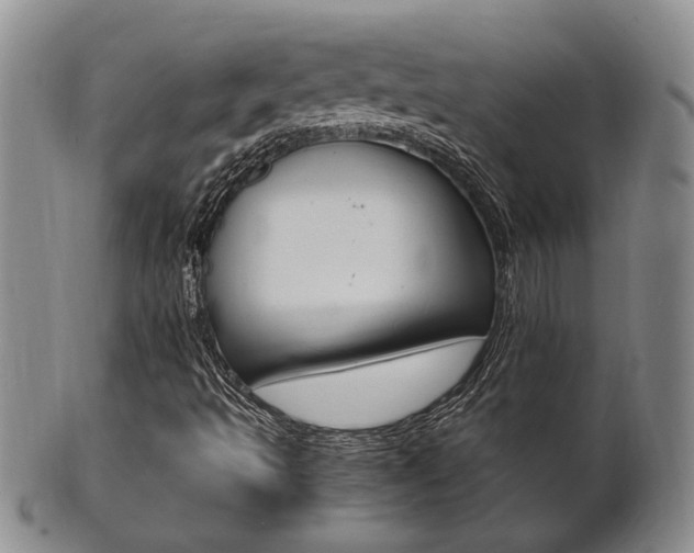 X0000101681493200807101131