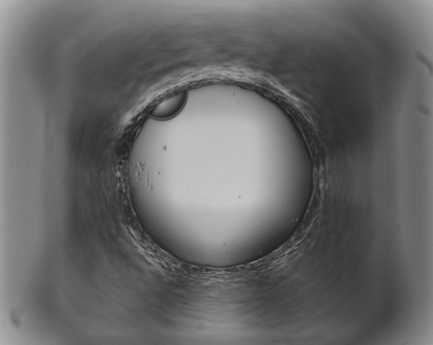 X0000101681496200807101131