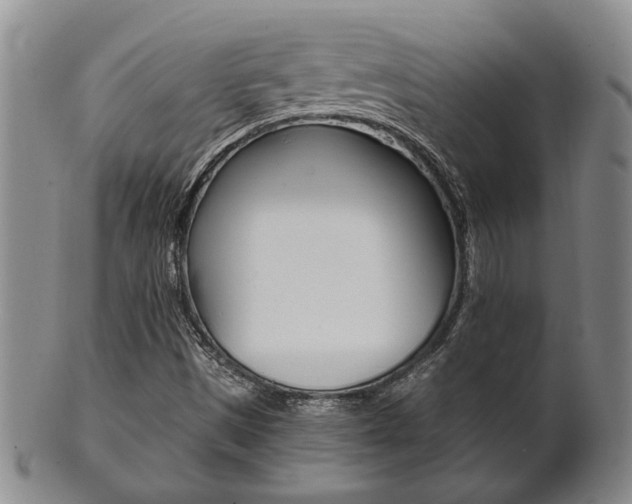 X0000101681497200807101131