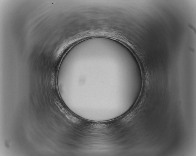 X0000101681499200807101131