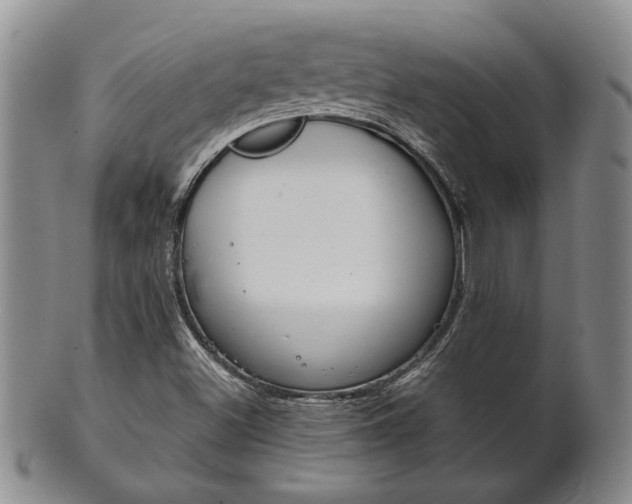 X0000101681500200807101131