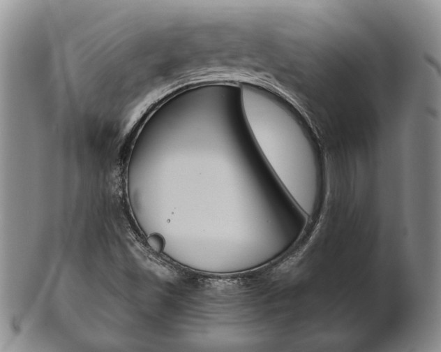 X0000101681501200807101131