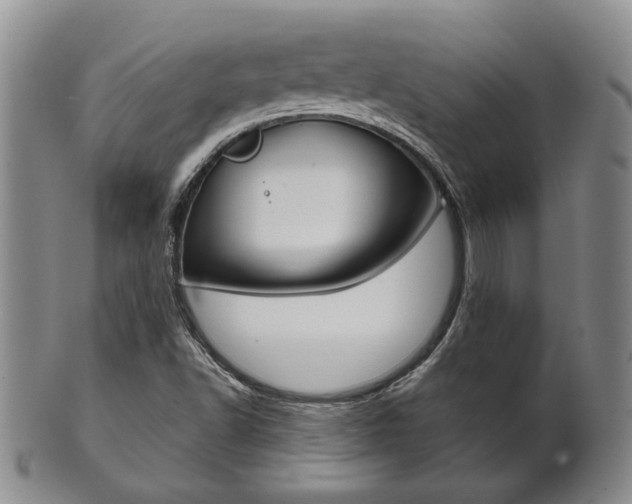 X0000101681502200807101131