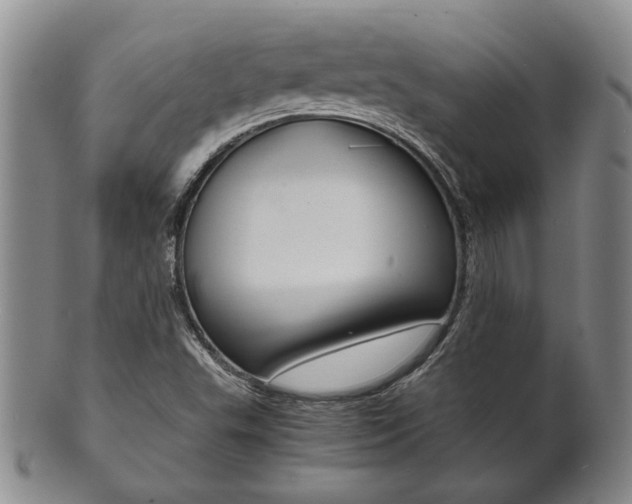 X0000101681503200807101131
