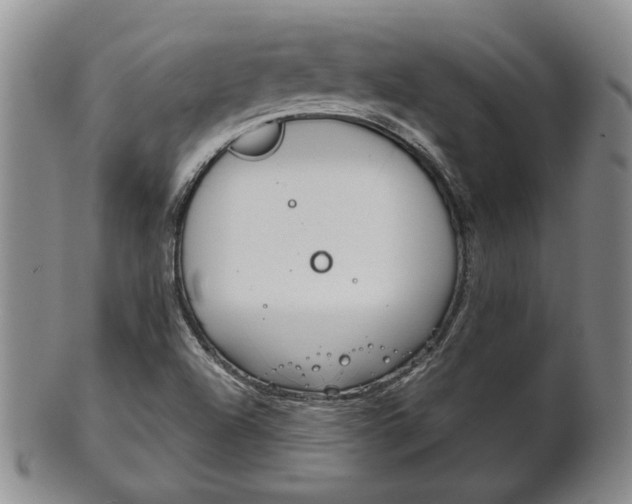 X0000101681504200807101131