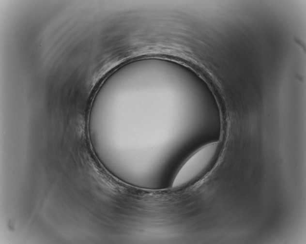 X0000101681505200807101132