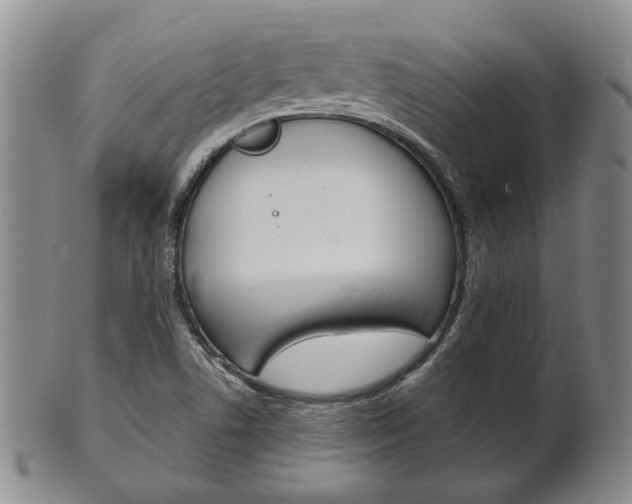 X0000101681506200807101132
