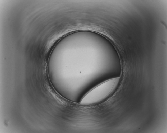 X0000101681507200807101132