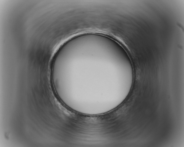 X0000101681508200807101132