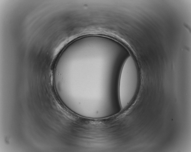 X0000101681509200807101132