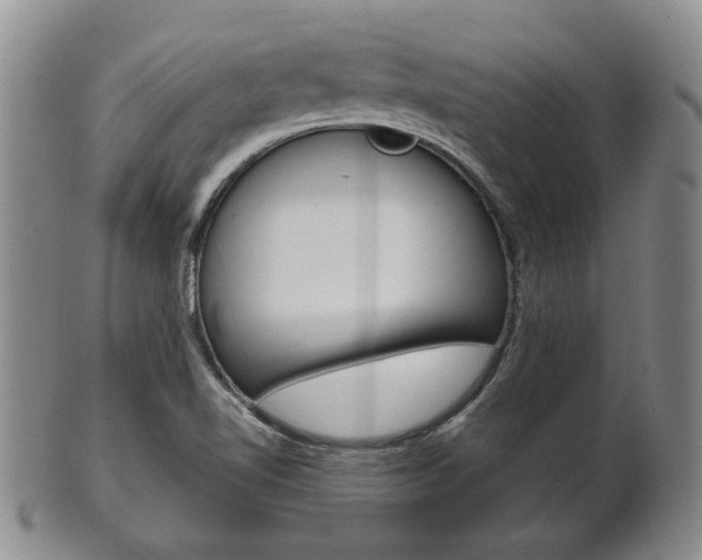 X0000101681510200807101132