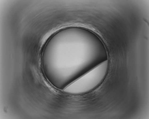 X0000101681511200807101132