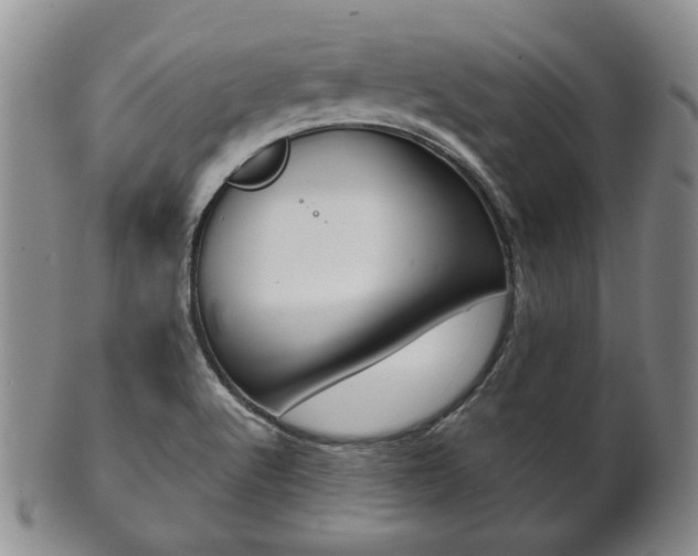 X0000101681512200807101132