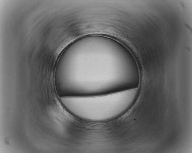 X0000101681513200807101132