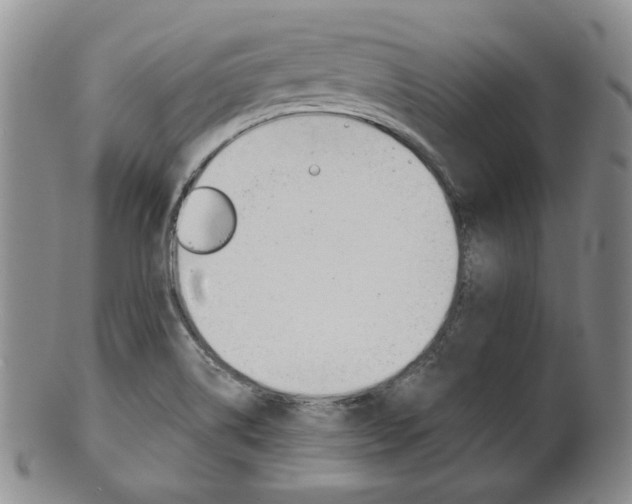 X0000101681514200807101132