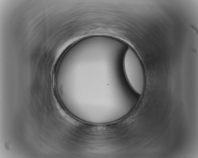 X0000101681515200807101132