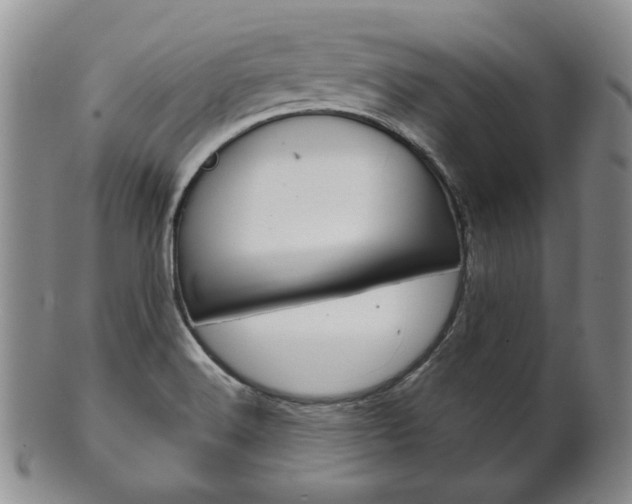 X0000101681516200807101132