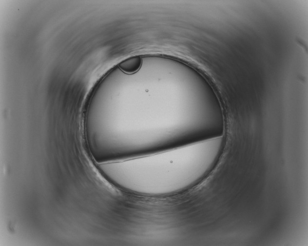 X0000101681517200807101132