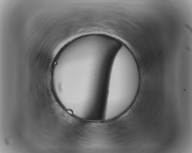 X0000101681518200807101132