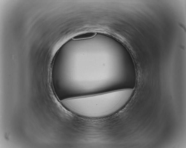 X0000101681520200807101132