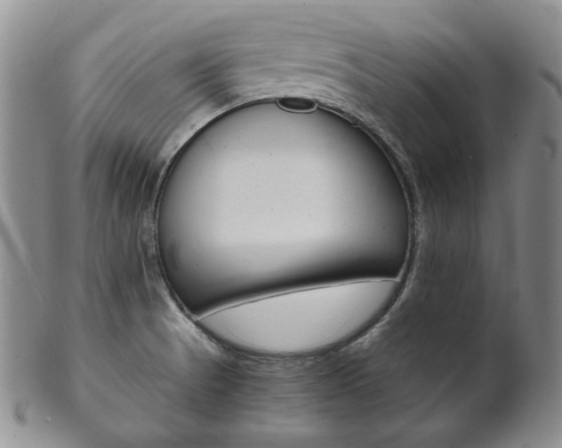 X0000101681521200807101132