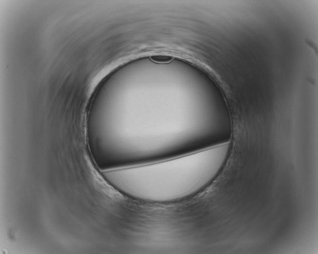 X0000101681522200807101132