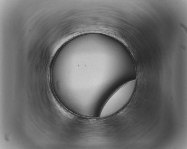 X0000101681523200807101132