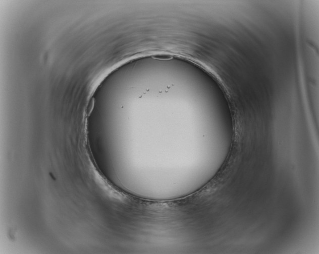X0000101681524200807101132