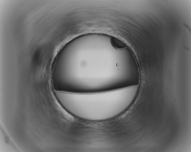 X0000101681525200807101132