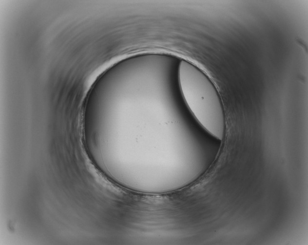 X0000101681526200807101132