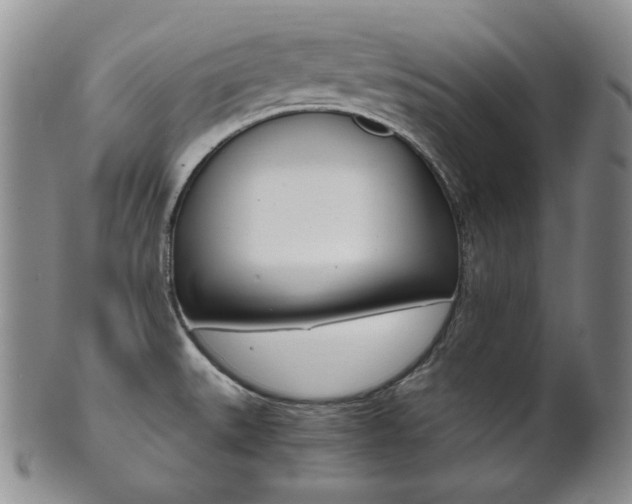 X0000101681527200807101132