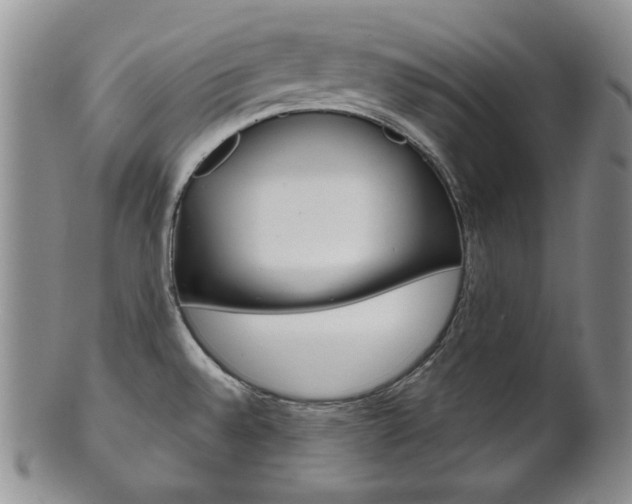 X0000101681528200807101132