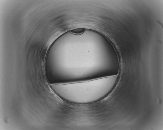 X0000101681529200807101132