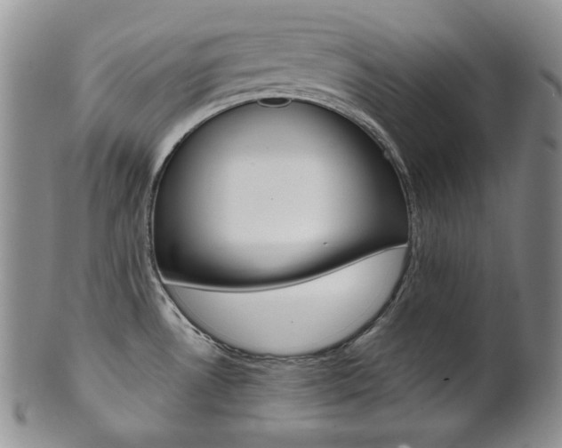X0000101681530200807101132