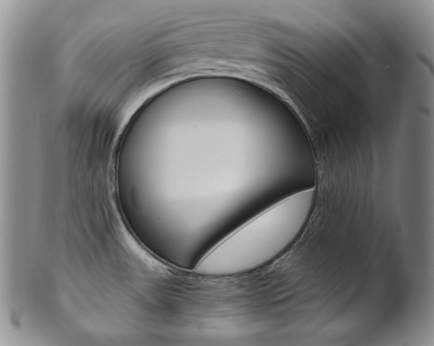 X0000101681531200807101132