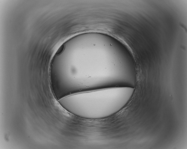X0000101681532200807101132