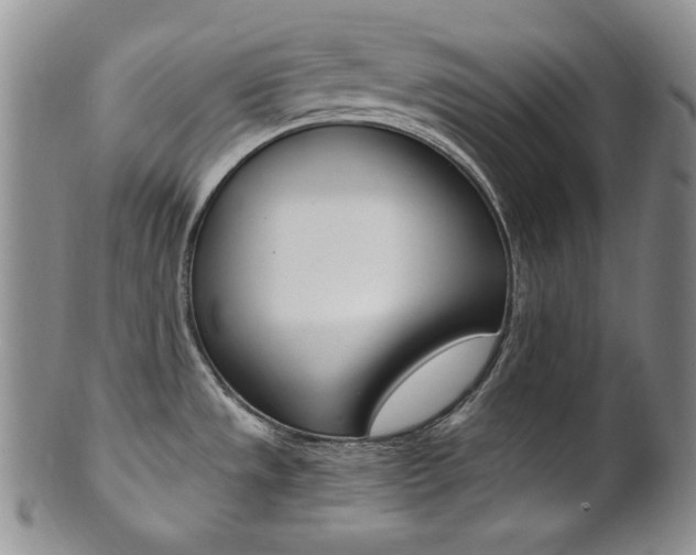 X0000101681533200807101132