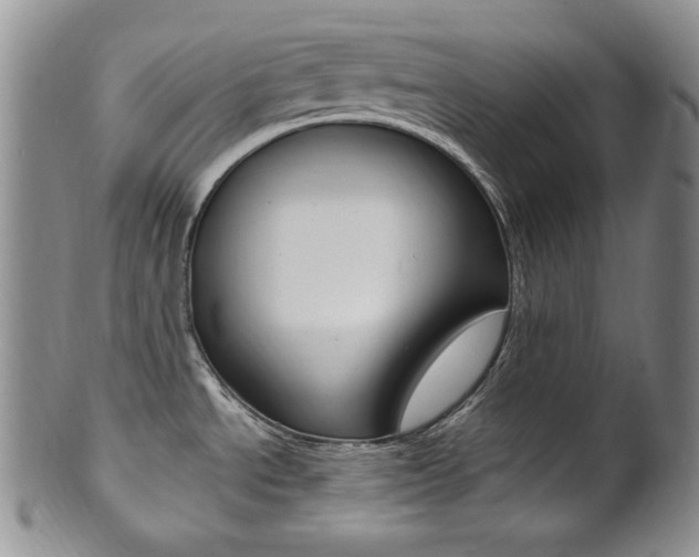 X0000101681534200807101132