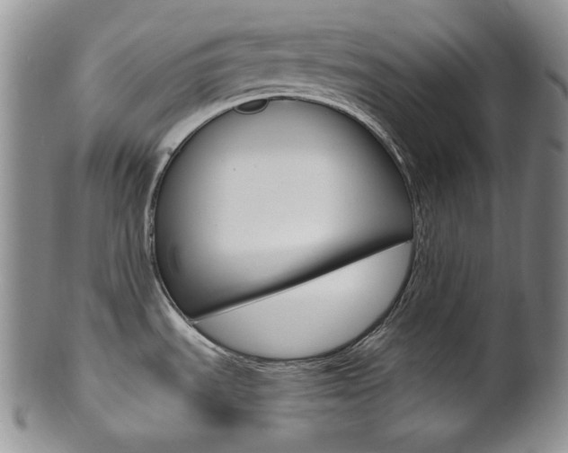 X0000101681535200807101132