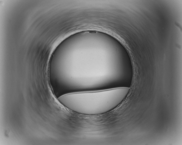 X0000101681536200807101132