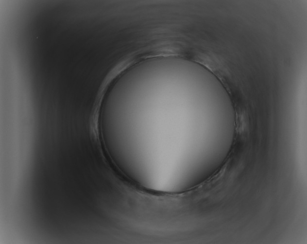 X0000101680004200807101431