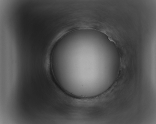 X0000101680005200807101431