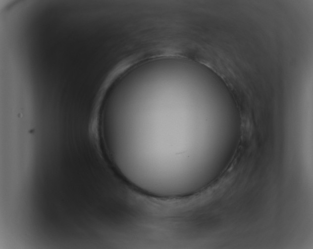 X0000101680006200807101431