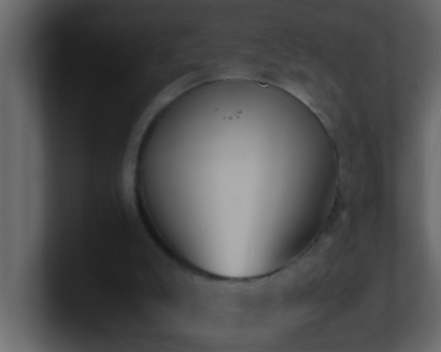 X0000101680007200807101431