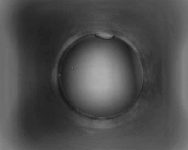 X0000101680008200807101431