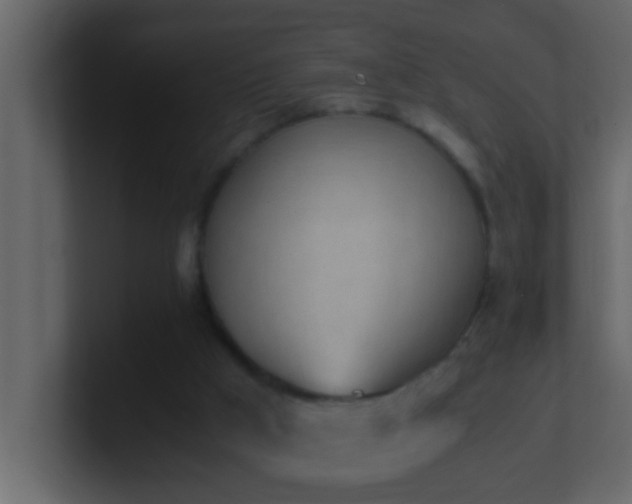 X0000101680009200807101431