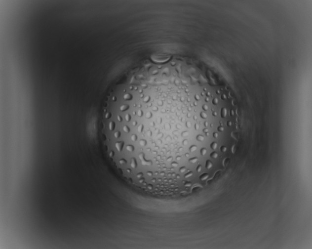 X0000101680010200807101431