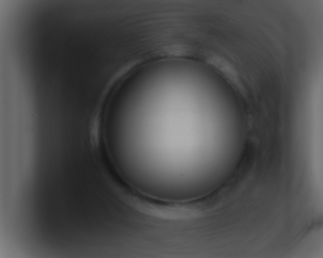 X0000101680012200807101431