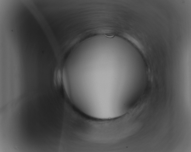 X0000101680013200807101431